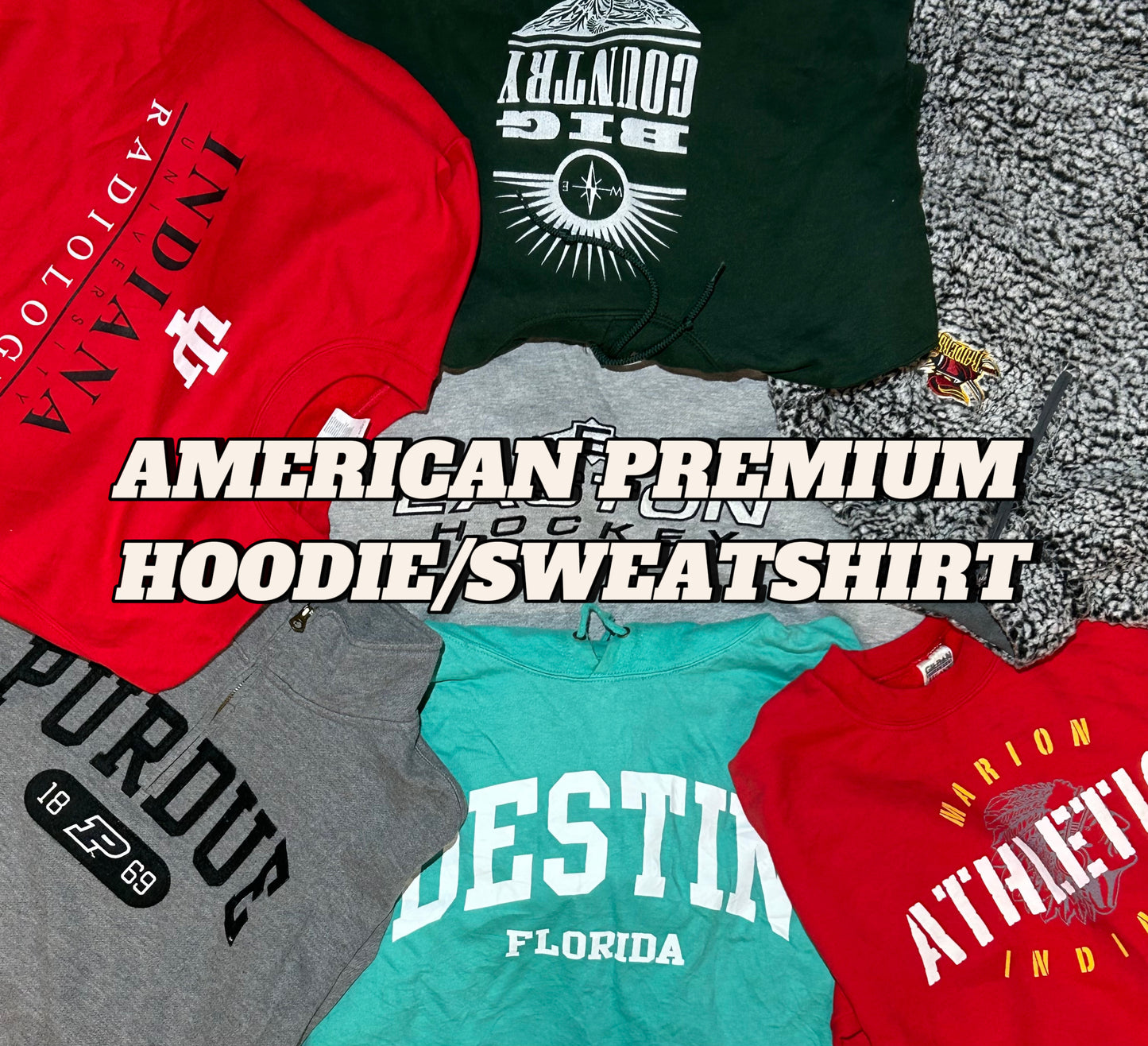 AMERICAN HOODIE/SWEATSHIRT MAN - 20 PCS